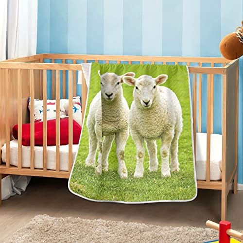 Pigsaly Cartoon Grass Sheep Farmhouse pături pentru copii 30 x 40 în amuzant drăguț animale de miel pentru copii mici pătură