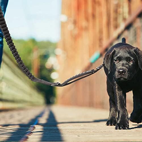 Petvins Heavy Duty Bungee Dog Lesa pentru câini mari medii - 6 ft reflectorizant șoc de câine de absorbție lesă cu mânere duble