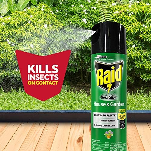 Raid House & Garden Insect Killer Spray, pentru furnica listată, roach, păianjen, pentru uz interior și exterior, parfum de
