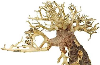 Bonsai Driftwood Acvariu copac TT8 aleatoare alege naturale, Artizanale Acvariu decor / ușor de instalat