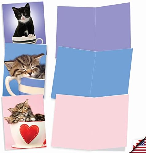 Cea mai bună companie de carduri - 10 cărți adorabile pentru pisici necompletate - pisoi drăguțe pentru animale de companie,