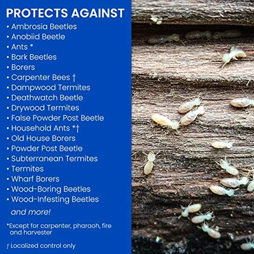 Termite biovantate și tâmplar Bee Killer Plus, spumă, 18 oz