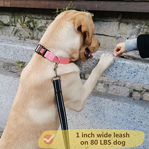 Oefeo 6ft Lesh Reflector pentru câini pentru câini mari și medii și mici, lese de nailon puternic și rezistent pentru mers