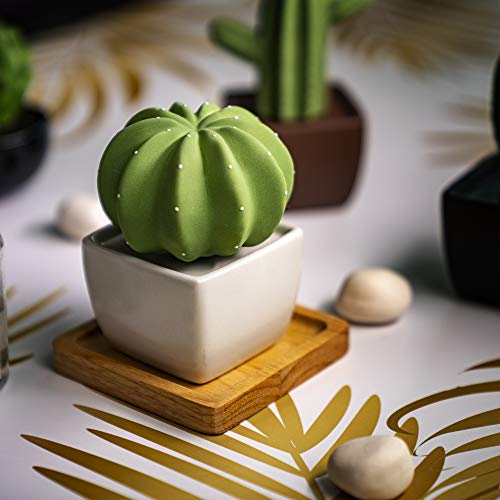 Cactus Lively Breeze Dotti, difuzoare ceramice non-electrice pentru uleiuri esențiale și aromaterapie parfum, difuzoare ceramice