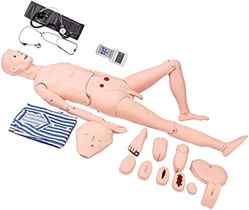 Manechine de pregătire pentru asistență medicală din PVC de asistență medicală cu măsurare a tensiunii arteriale și module